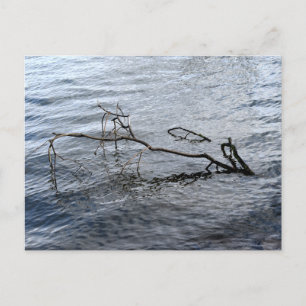 Postal Río, vida residual