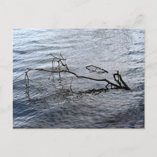 Postal Río, vida residual (Anverso)