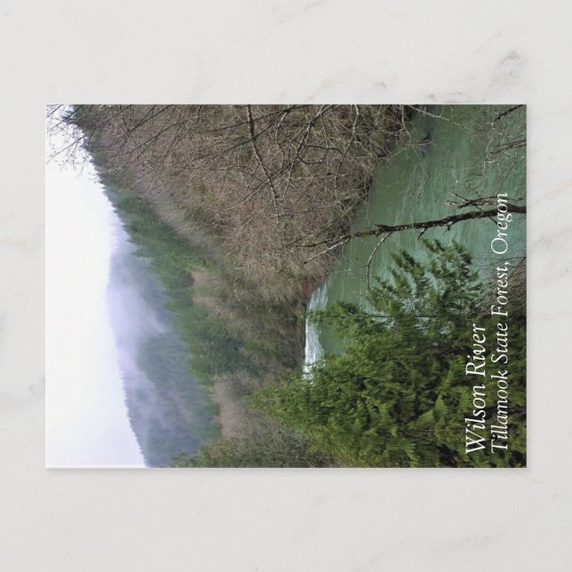 Postal Río Wilson, OR (Anverso)