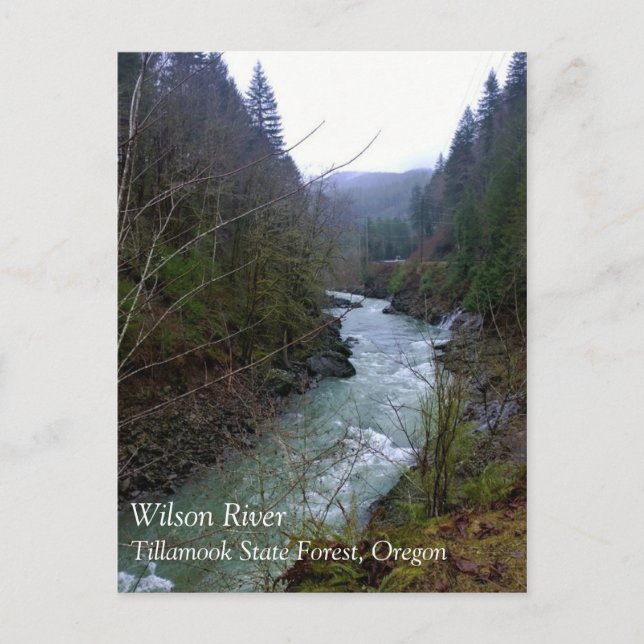 Postal Río Wilson, OR (Anverso)