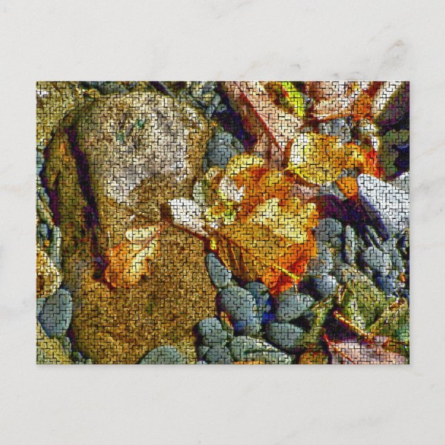 POSTAL RÍOS (Anverso)