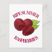 Ripe Fresco Verano Rojo Raspberries Fruit Berry