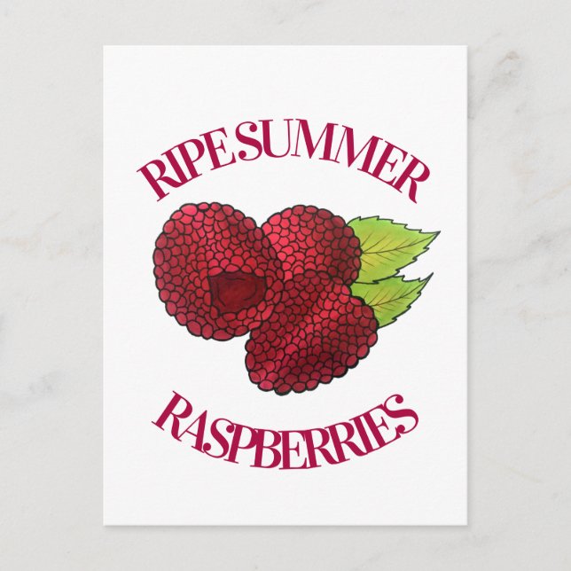 Postal Ripe Fresco Verano Rojo Raspberries Fruit Berry (Anverso)