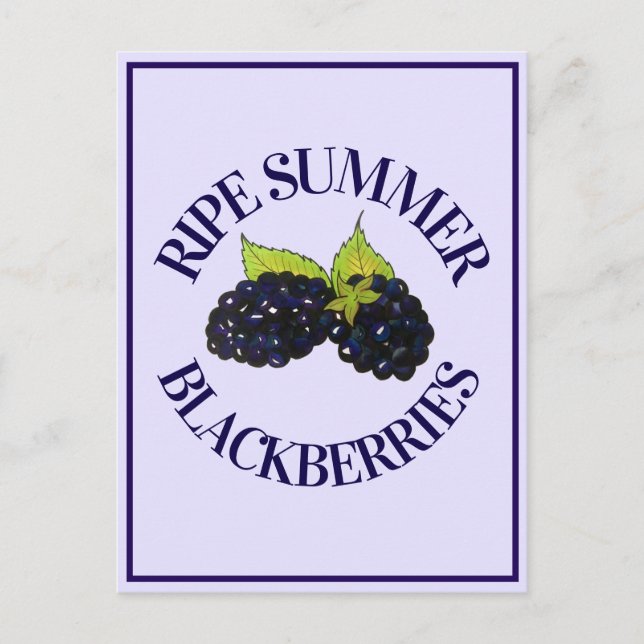Postal Ripe Summer Blackberries Blackberry Berry Berries (Anverso)