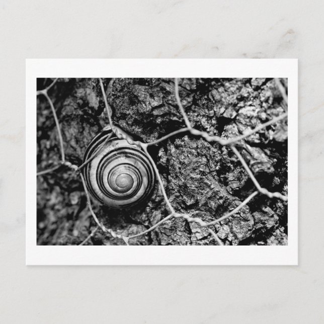 Postal ritmo acelerado (Anverso)
