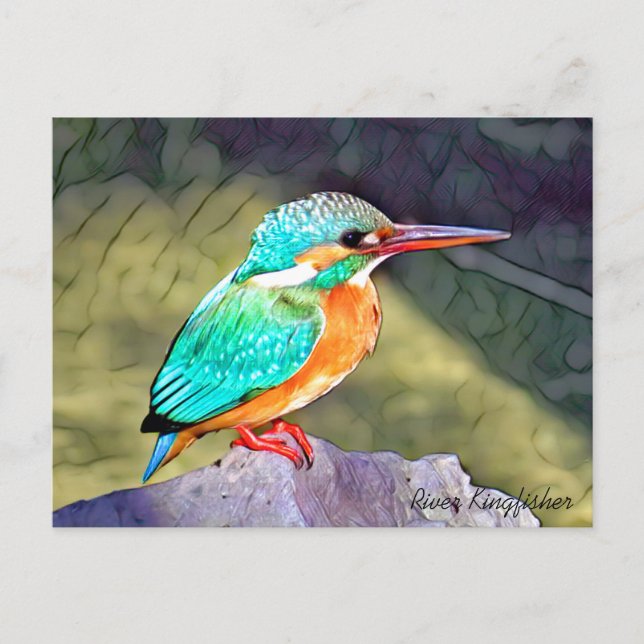 Postal River Kingfisher (Anverso)