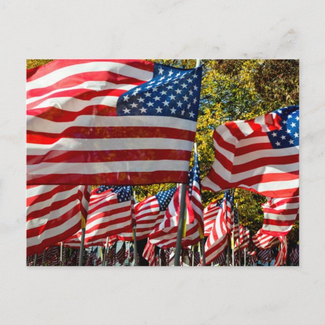 Postal Riverdale, Nueva York, Estados Unidos. País del vi (Anverso)