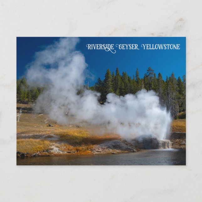 Postal Riverside Geyser Eruption Yellowstone (Anverso)