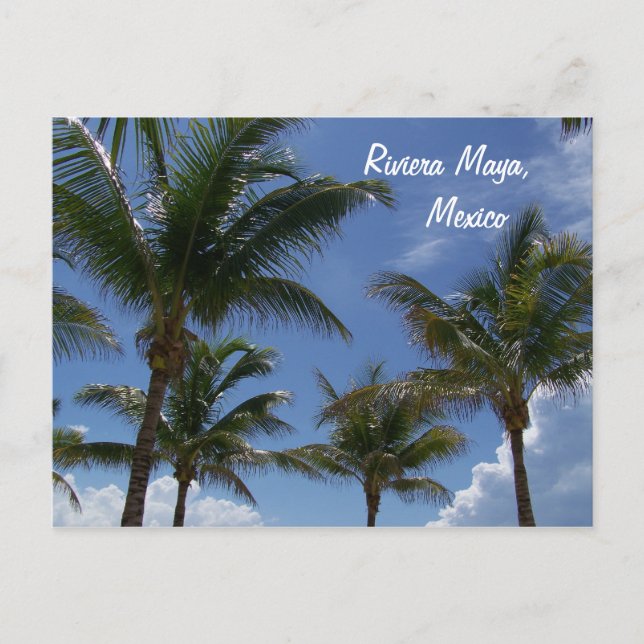 Postal Riviera Maya Cancún México Islas del Caribe (Anverso)