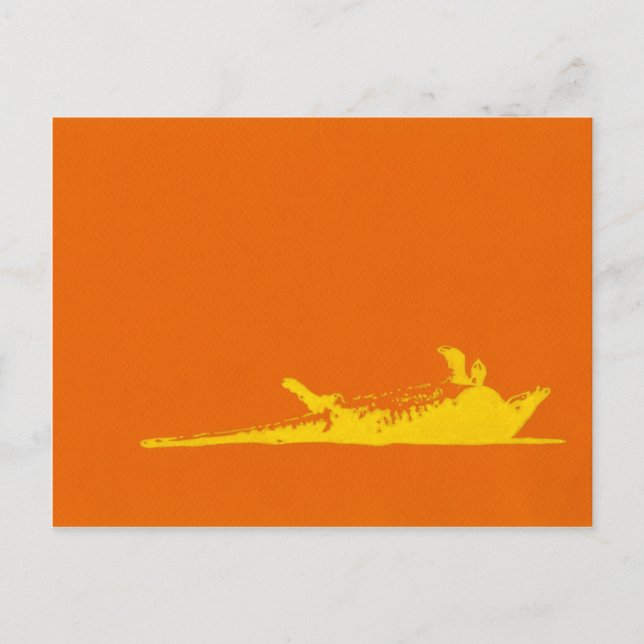 POSTAL ROAD KILL ARMADILLO (Anverso)