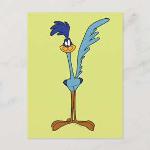 Postal ROAD RUNNER™ en color