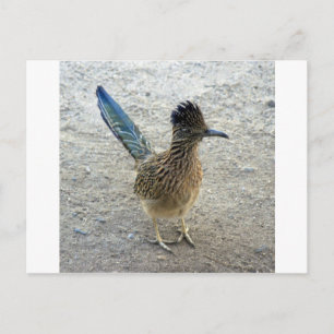 Postal Roadrunner