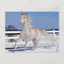 Postal Roan rojo en la nieve