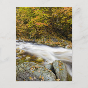 Postal Roaring Brook en otoño en Vermont's Green