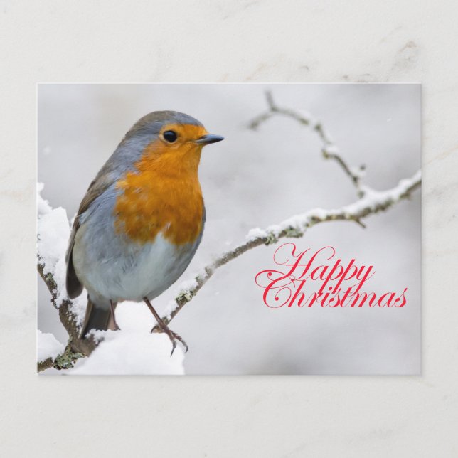 Postal Robbin Redmama (Anverso)