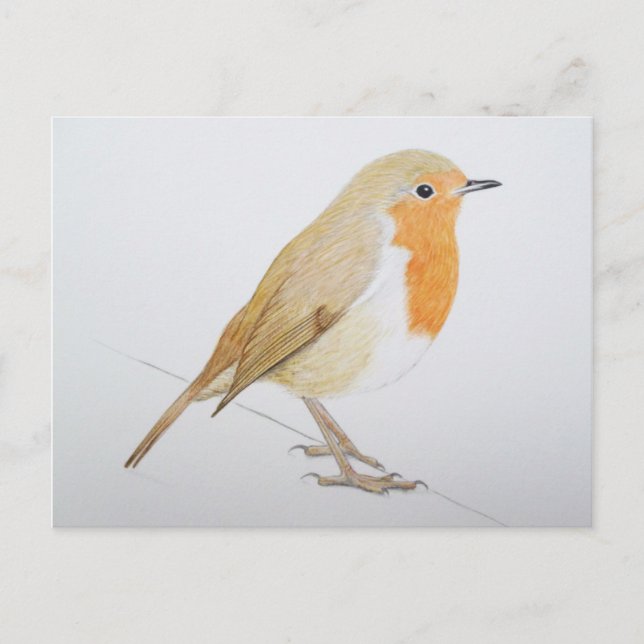 Postal Robin 2011 (Anverso)