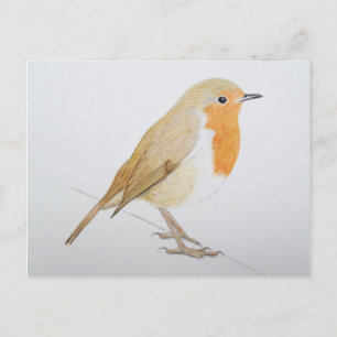 Postal Robin 2011