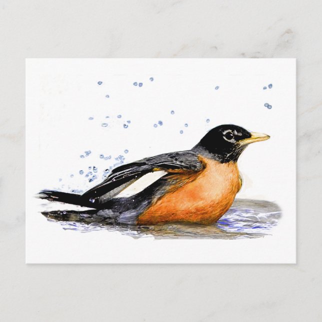 Postal Robin Bathing (Anverso)