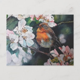 Postal Robin con flor de cerezo