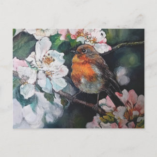 Postal Robin con flor de cerezo