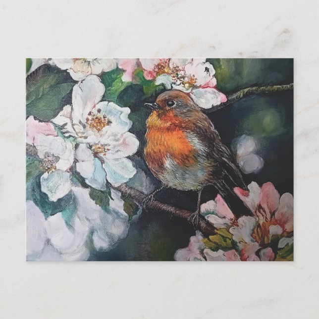 Postal Robin con flor de cerezo (Anverso)