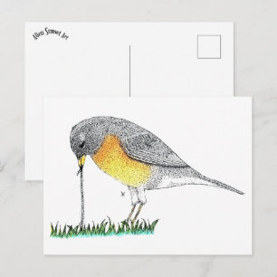 Postal Robin con Worm