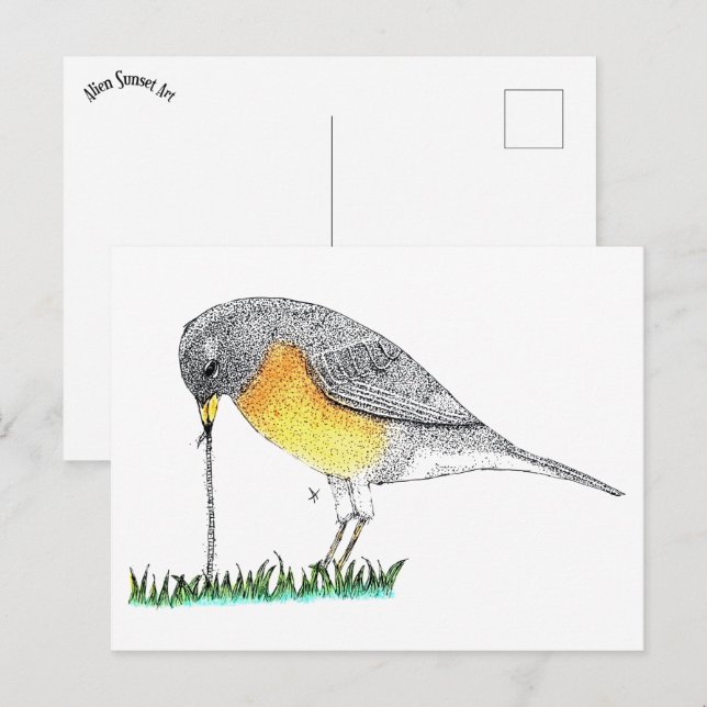 Postal Robin con Worm (Anverso / Reverso)