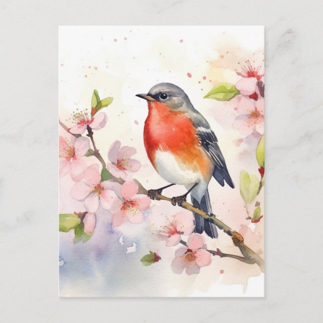 Postal Robin de acuarela sobre la rama de cerezo en prima (Anverso)