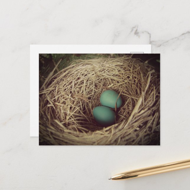 Postal Robin Eggs in a Nest (Anverso/Reverso In Situ)