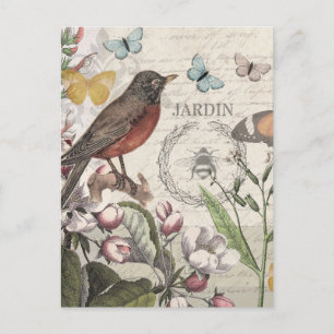 Postal Robin Elegant Bird Butterfly Arte Francés