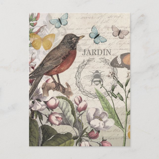 Postal Robin Elegant Bird Butterfly Arte Francés (Anverso)