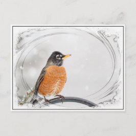 Postal Robin en el invierno