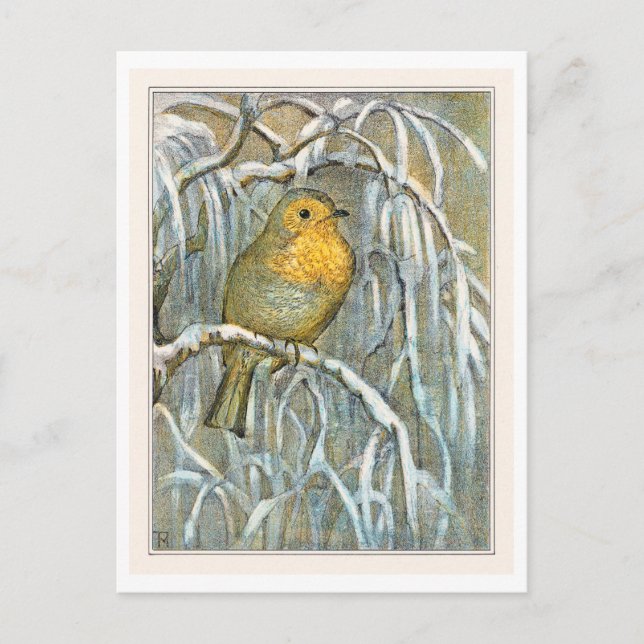 Postal Robin en la rama del árbol de nieve (Anverso)