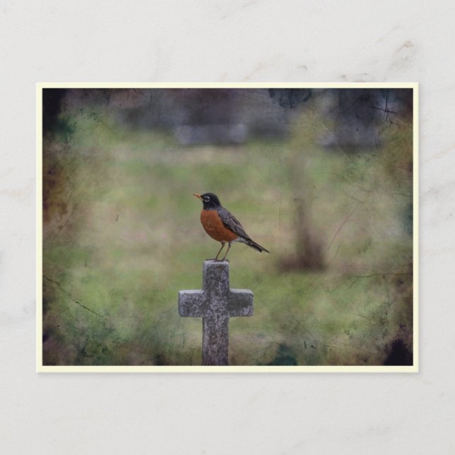Postal Robin en una cruz (Anverso)