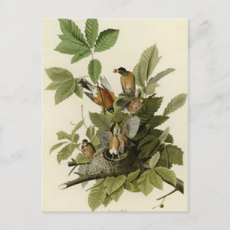 Postal Robin estadounidense