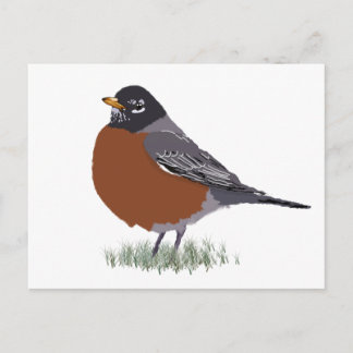 Postal Robin estadounidense de pecho rojo dibujado digita
