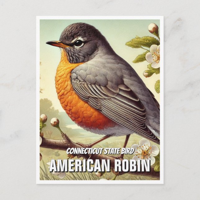 Postal Robin estadounidense del estado de Connecticut (Anverso)