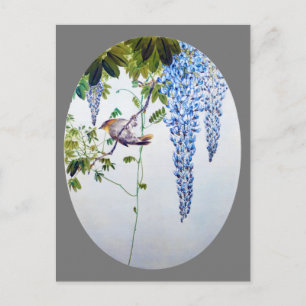 Postal Robin japonés en Wisteria, Watanabe Seitei