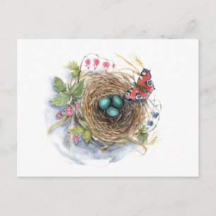 Postal Robin Nest