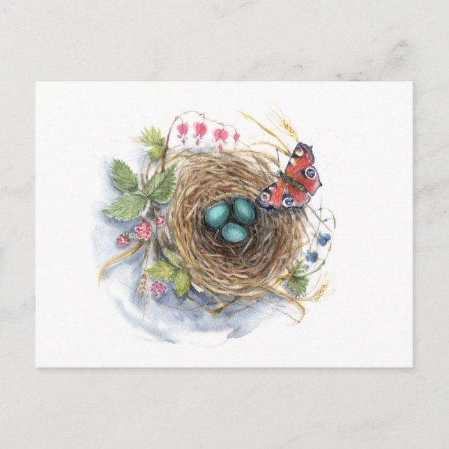 Postal Robin Nest (Anverso)
