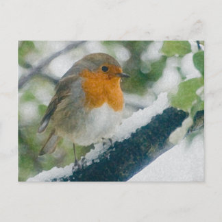 Postal Robin Postcard Snowy