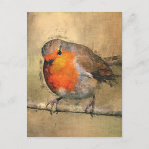 Postal Robin Redmama