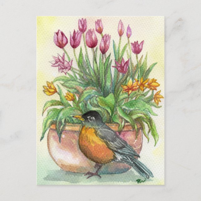 Postal Robin y Tulips (Anverso)