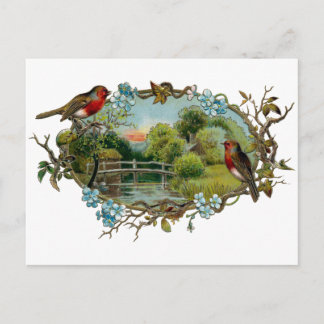 Postal Robins vintage y nomeolvides