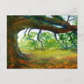 Postal Roble viejo enorme de Luisiana