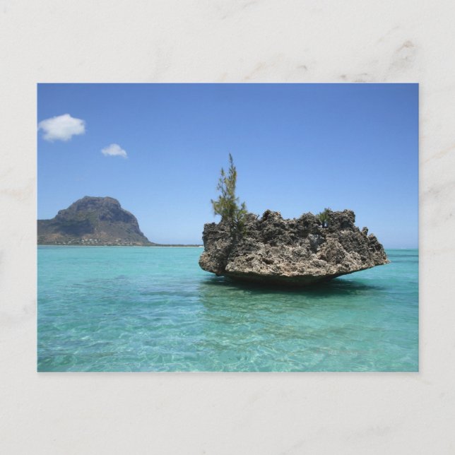 Postal Roca de cristal compuesta de coral (Anverso)