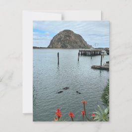 Postal Roca Morro Bay con nutrias
