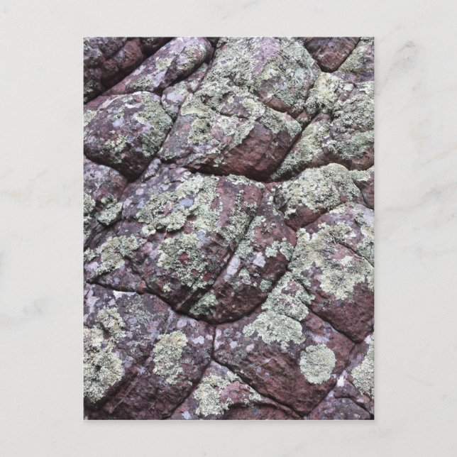 Postal Rocas con rocas con lichen Moss (Anverso)
