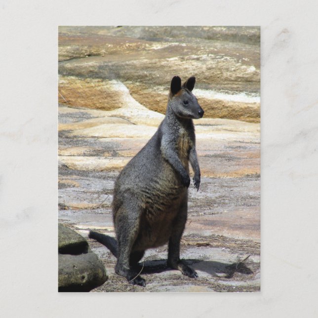 Postal rocas de fondo (Anverso)