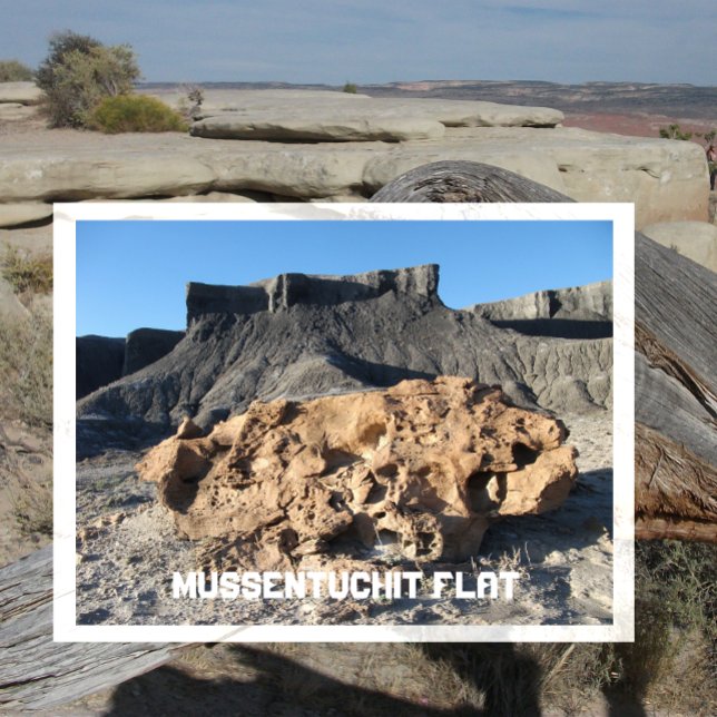 Postal Rocas planas Mussentuchit, Condado de Emery, Utah (Subido por el creador)
